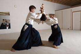 Jenis-Jenis Martial Arts